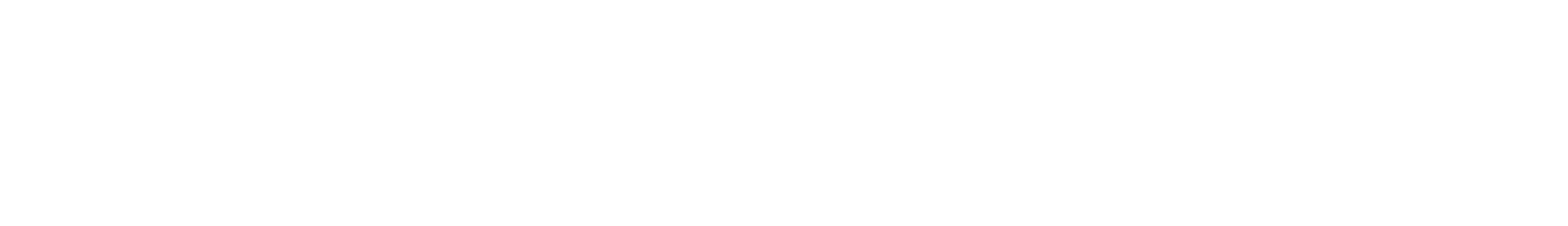 Lixel Studio